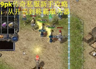 9pk传奇私服新手攻略：从开荒到称霸服务器