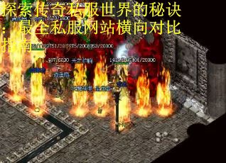 探索传奇私服世界的秘诀：最全私服网站横向对比指南
