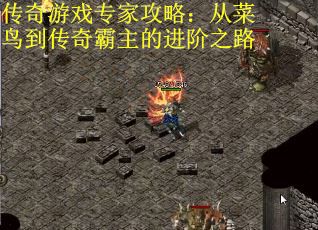 传奇游戏专家攻略：从菜鸟到传奇霸主的进阶之路
