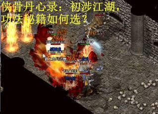 侠骨丹心录：初涉江湖，功法秘籍如何选？