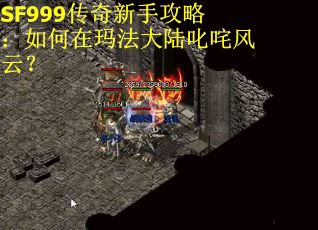 SF999传奇新手攻略：如何在玛法大陆叱咤风云？
