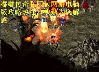 嘟嘟传奇私服包网游电脑版攻略热线，快速为您解惑