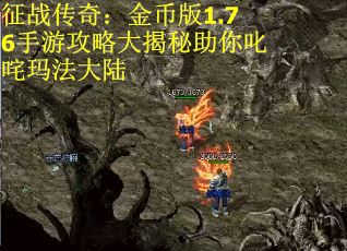 征战传奇：金币版1.76手游攻略大揭秘助你叱咤玛法大陆