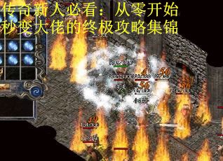 传奇新人必看：从零开始秒变大佬的终极攻略集锦