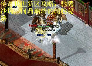 传奇传世新区攻略：驰骋沙场，问鼎巅峰的制胜秘籍