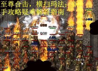 至尊合击，横扫玛法：新手攻略疑难解答指南