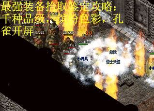 最强装备拾取鉴定攻略：千种品级，缤纷色彩，孔雀开屏