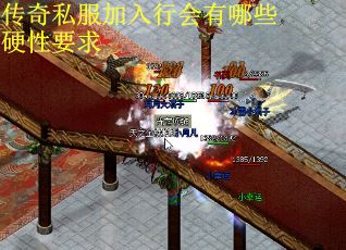 传奇私服加入行会有哪些硬性要求