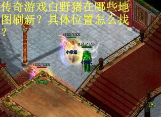 传奇游戏白野猪在哪些地图刷新？具体位置怎么找？