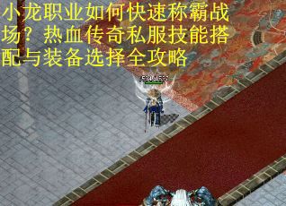 小龙职业如何快速称霸战场？热血传奇私服技能搭配与装备选择全攻略
