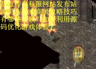 热血传奇私服网站发布站源码与游戏高级攻略技巧有哪些关联？如何利用源码优化游戏体验？