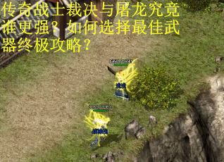 传奇战士裁决与屠龙究竟谁更强？如何选择最佳武器终极攻略？