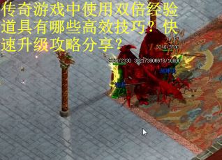传奇游戏中使用双倍经验道具有哪些高效技巧？快速升级攻略分享？