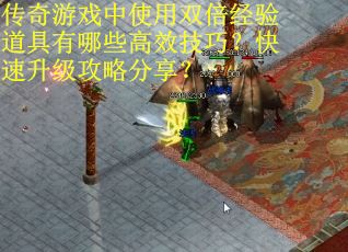 传奇游戏中使用双倍经验道具有哪些高效技巧？快速升级攻略分享？