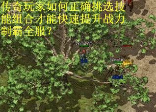 传奇玩家如何正确挑选技能组合才能快速提升战力制霸全服？