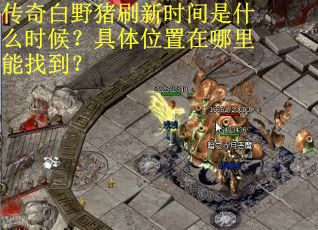 传奇白野猪刷新时间是什么时候？具体位置在哪里能找到？