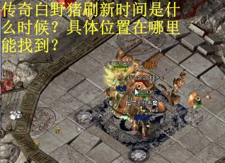 传奇白野猪刷新时间是什么时候？具体位置在哪里能找到？