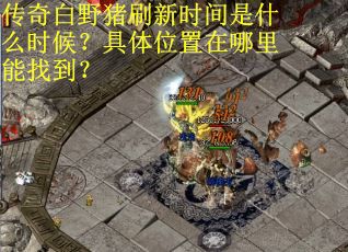 传奇白野猪刷新时间是什么时候？具体位置在哪里能找到？
