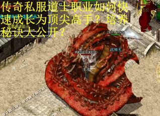传奇私服道士职业如何快速成长为顶尖高手？培养秘诀大公开？