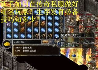 新手如何在传奇私服做好红名玩家？生存发育必备技巧知多少？