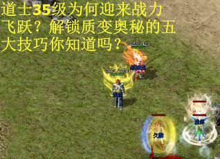 道士35级为何迎来战力飞跃？解锁质变奥秘的五大技巧你知道吗？
