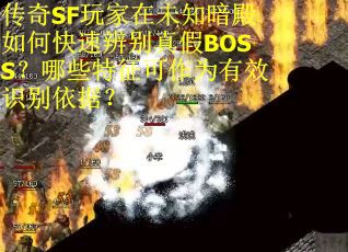 传奇SF玩家在未知暗殿如何快速辨别真假BOSS？哪些特征可作为有效识别依据？