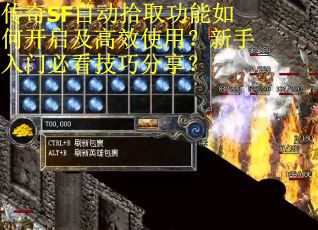 传奇SF自动拾取功能如何开启及高效使用？新手入门必看技巧分享？