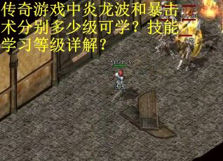 传奇游戏中炎龙波和暴击术分别多少级可学？技能学习等级详解？