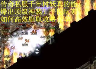 传奇私服千年树妖真的能爆出顶级神装？平民玩家如何高效刷取攻略分享