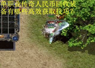 单职业传奇人民币回收装备有哪些高效获取技巧？