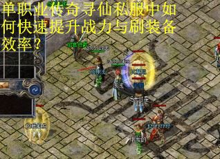单职业传奇寻仙私服中如何快速提升战力与刷装备效率？