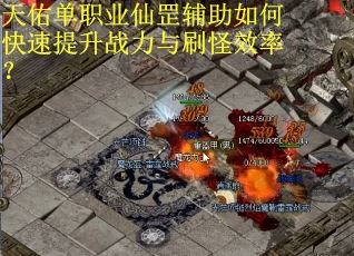 天佑单职业仙罡辅助如何快速提升战力与刷怪效率？