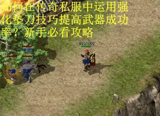 如何在传奇私服中运用强化垫刀技巧提高武器成功率？新手必看攻略