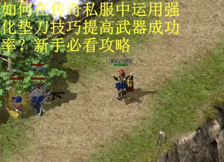 如何在传奇私服中运用强化垫刀技巧提高武器成功率？新手必看攻略