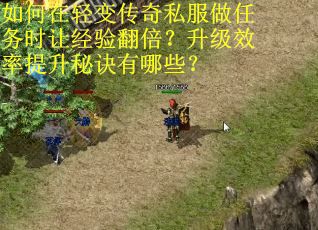 如何在轻变传奇私服做任务时让经验翻倍？升级效率提升秘诀有哪些？