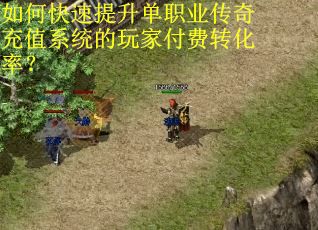 如何快速提升单职业传奇充值系统的玩家付费转化率？