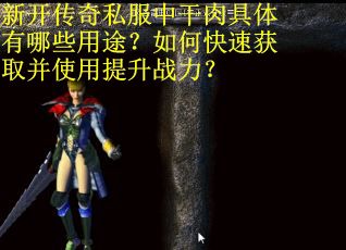 新开传奇私服中干肉具体有哪些用途？如何快速获取并使用提升战力？