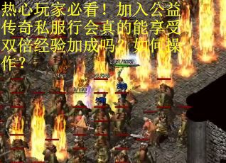 热心玩家必看！加入公益传奇私服行会真的能享受双倍经验加成吗？如何操作？