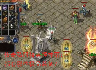 ˽Ӣֵ䣺ЩƷװ