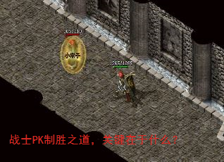 սʿPKʤ֮ؼʲô