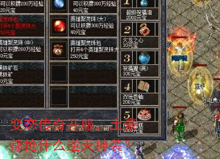 ̬濪ʲôװ