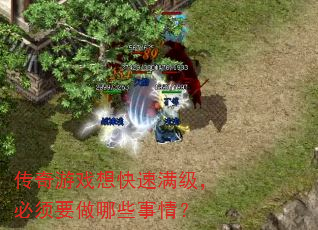 ϷҪЩ飿