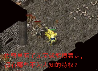 ԪܺߣЩΪ֪Ȩ
