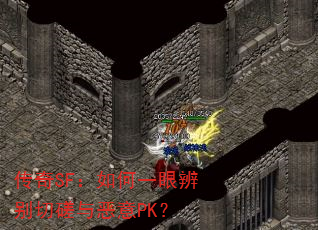 SFһ۱дPK