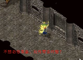 װ洫զ