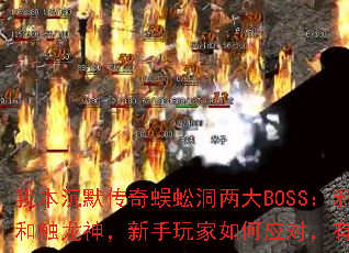 ұĬ򼶴BOSSаǯʹӦԣûмɣ