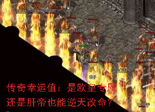 ֵŷרǸεҲ