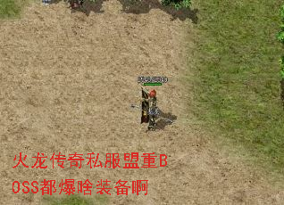 ˽BOSSɶװ