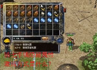 ʿԼʽʲô