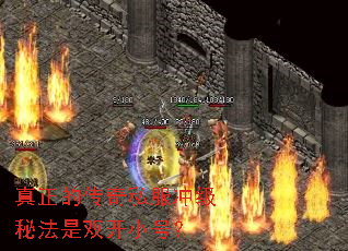 Ĵ˽弶ط˫Сţ